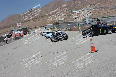 media/May-31-2025-CalClub SCCA (Sat) [[2c1a04e1ee]]/Around the Pits/